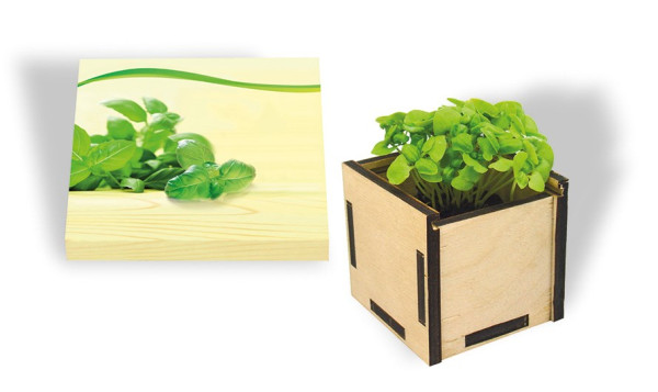 Pflanzsteckbox