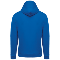 Light Royal Blue