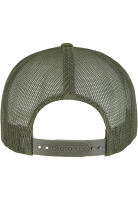 OLIVE / WHITE / LODEN