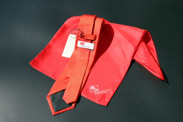 Set Krawatte personalisiert und Halstuch aus 100% Seide Maßangefertigt