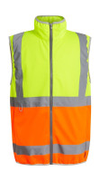 Yellow/Orange