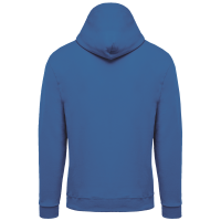 Light Royal Blue