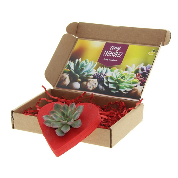 Tiny Treasurez® - Lovely heart im Briefkastenkarton