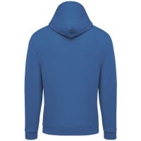Light Royal Blue