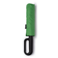 Fern Green